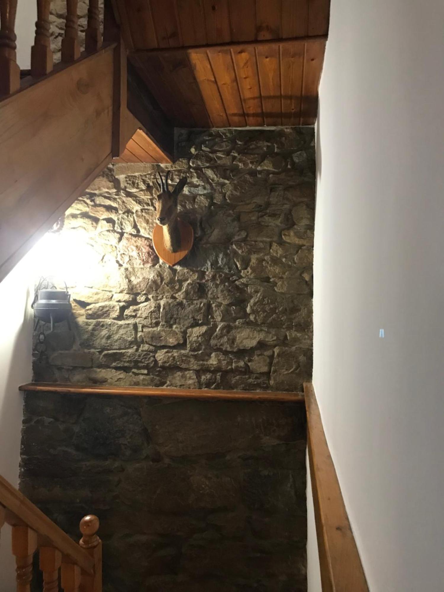 Casa Milu Hébergement de vacances